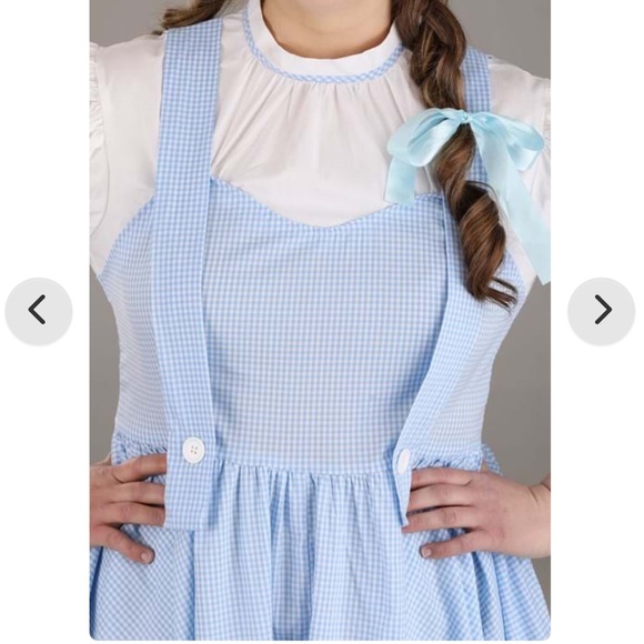 Dorothy Halloween Costume - Picture 5 of 7